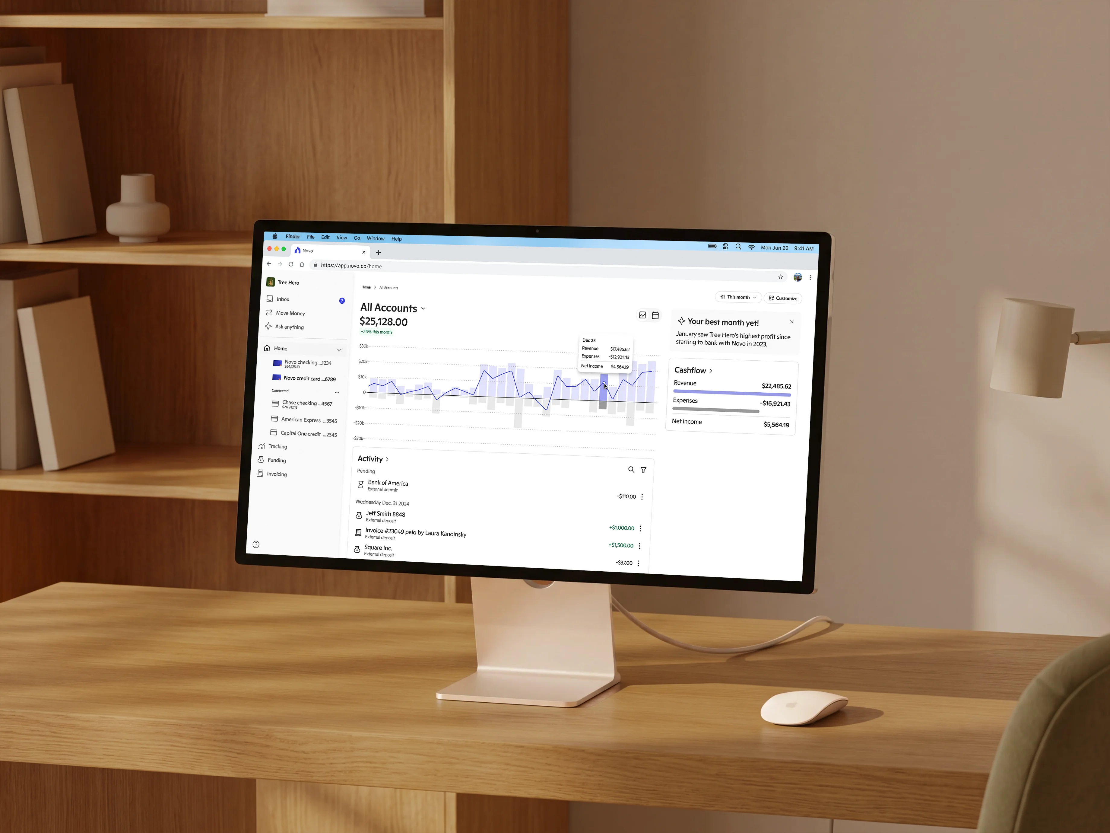 Novo All Accounts dashboard, viewed on a desktop monitor